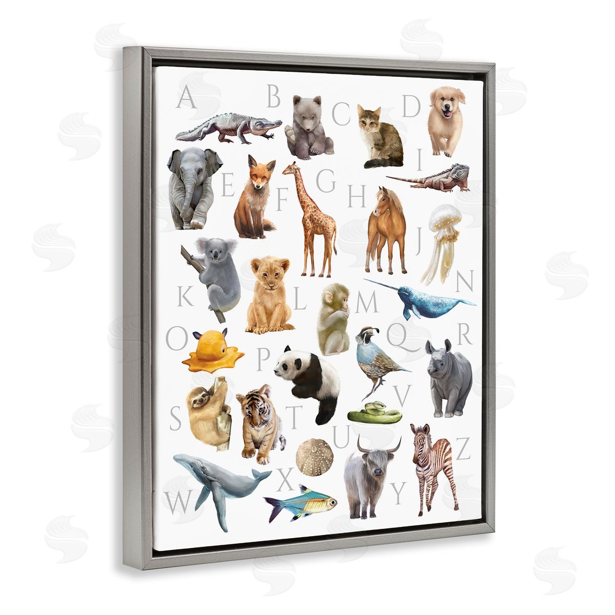 Ziwei Li Traditional ABC Alphabet Animals of the World