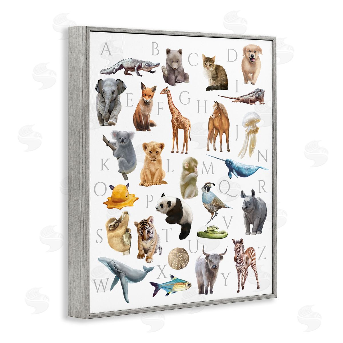 Ziwei Li Traditional ABC Alphabet Animals of the World