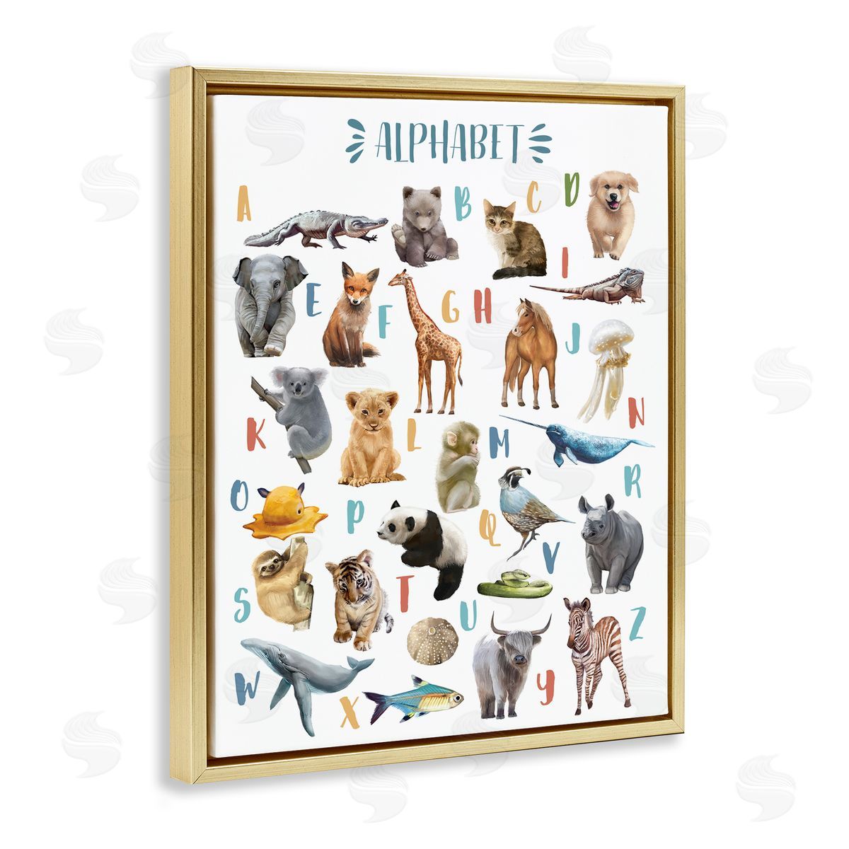 Ziwei Li Kid's Playful Animal Alphabet Whimsical ABC's