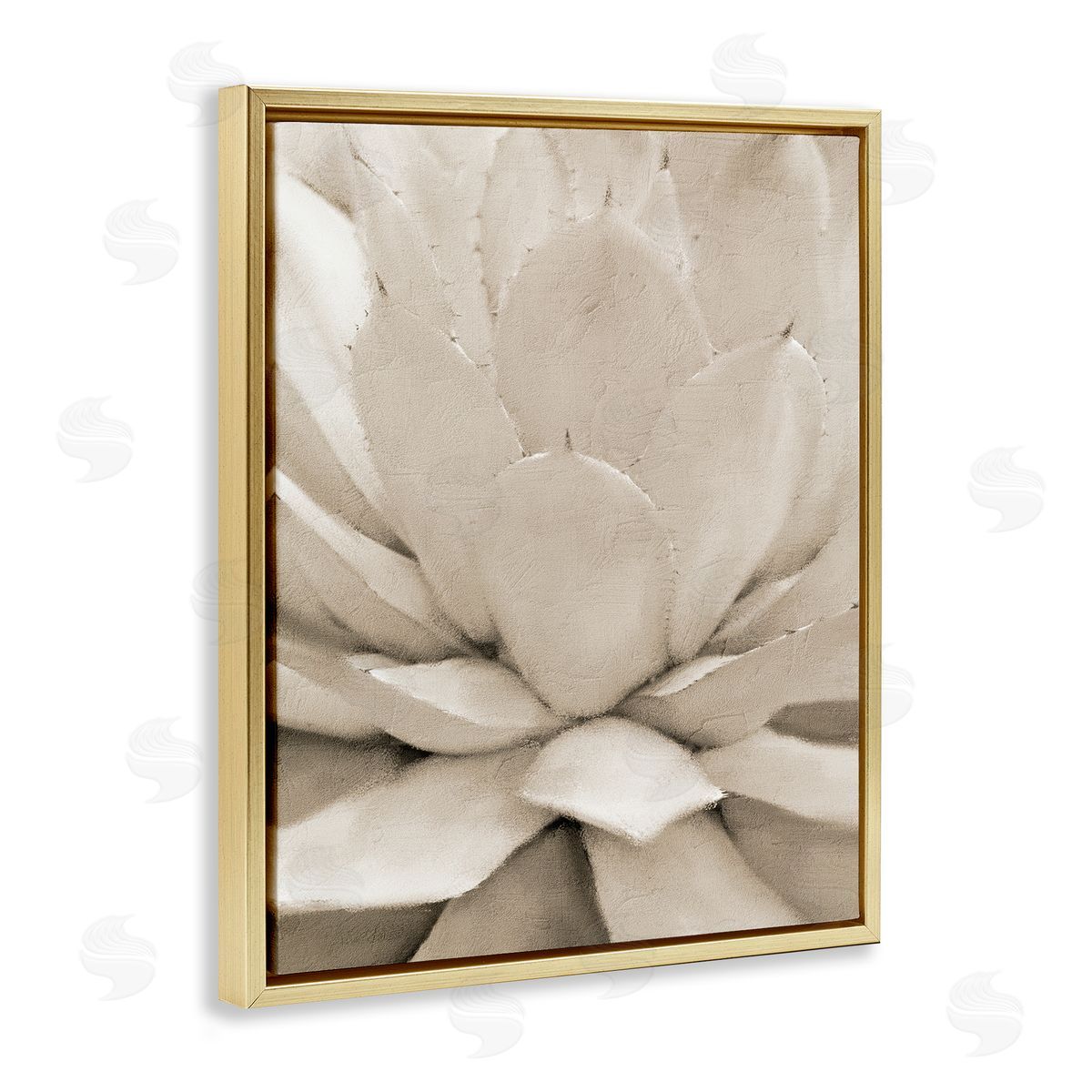 Kim Allen Prickly Agave Plant Monochromatic Beige Desert Succulent