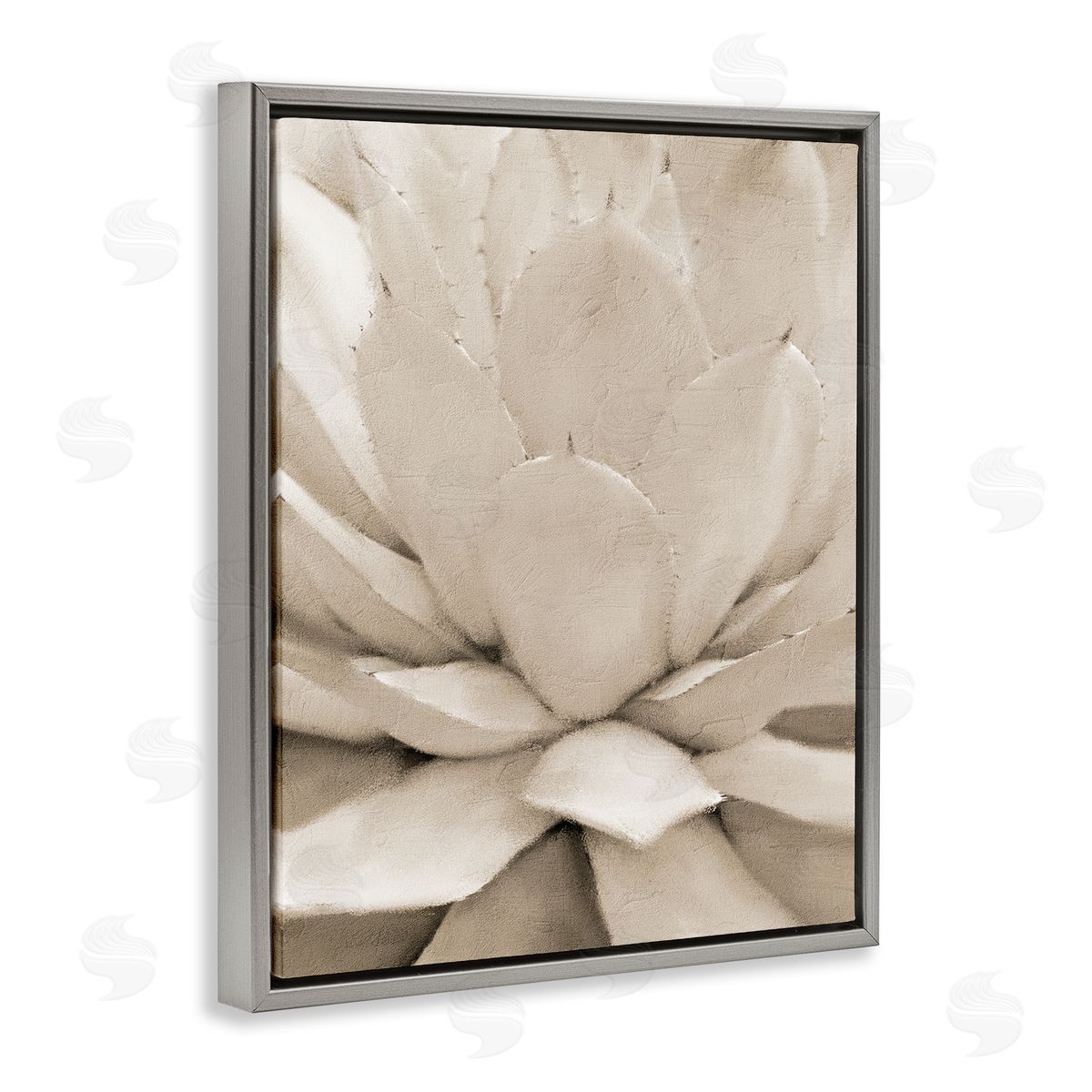 Kim Allen Prickly Agave Plant Monochromatic Beige Desert Succulent