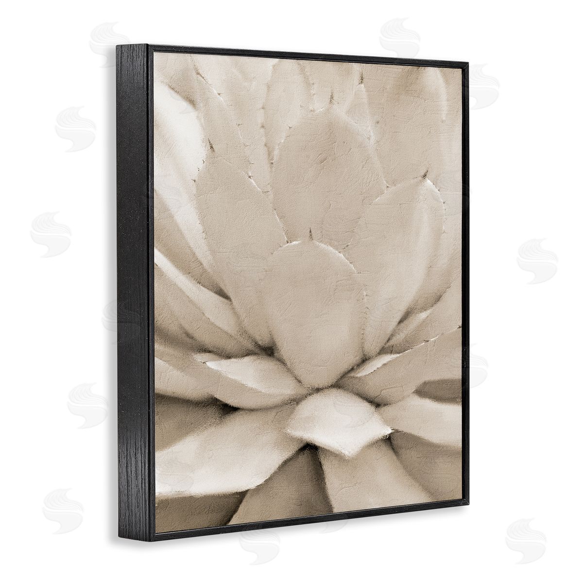 Kim Allen Prickly Agave Plant Monochromatic Beige Desert Succulent