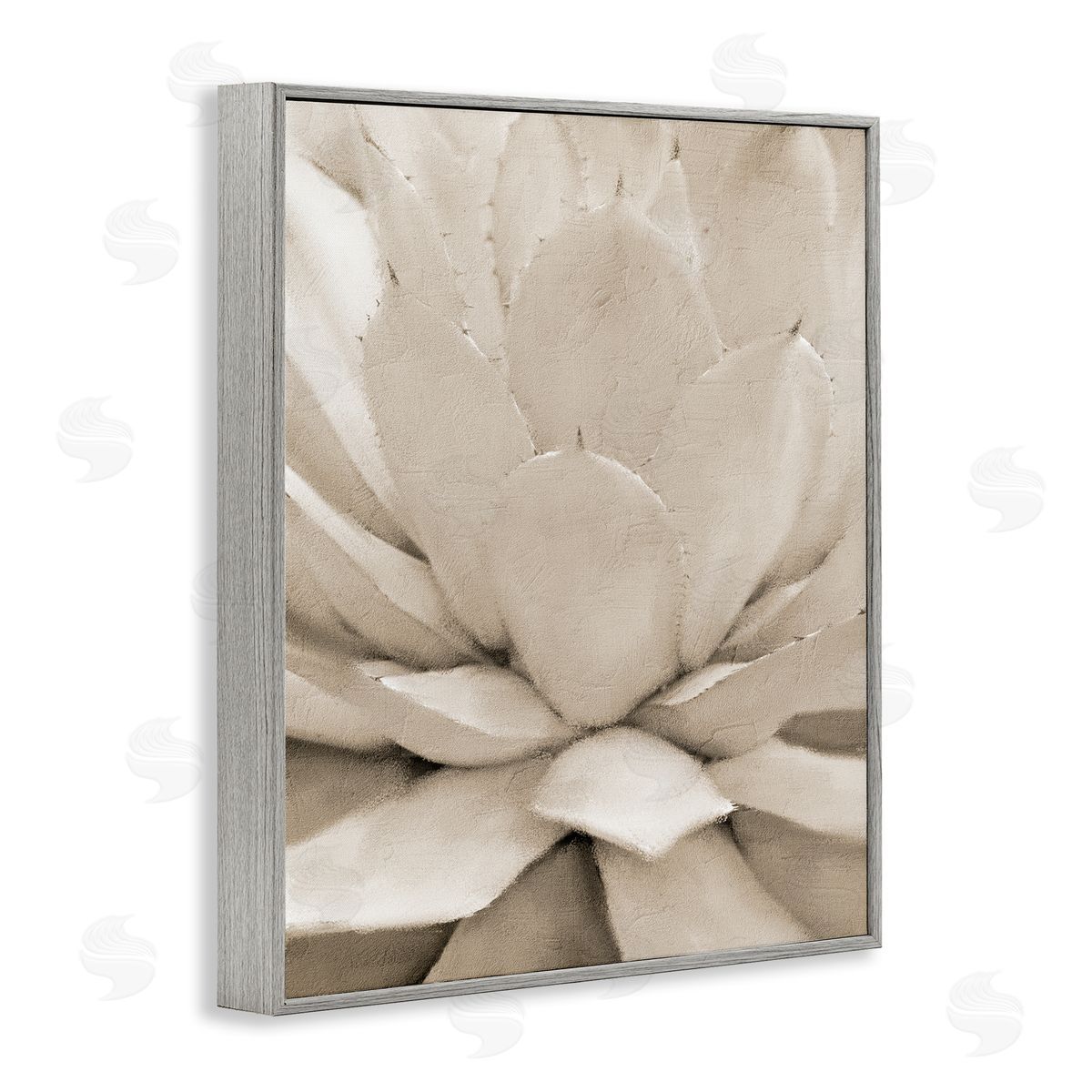 Kim Allen Prickly Agave Plant Monochromatic Beige Desert Succulent