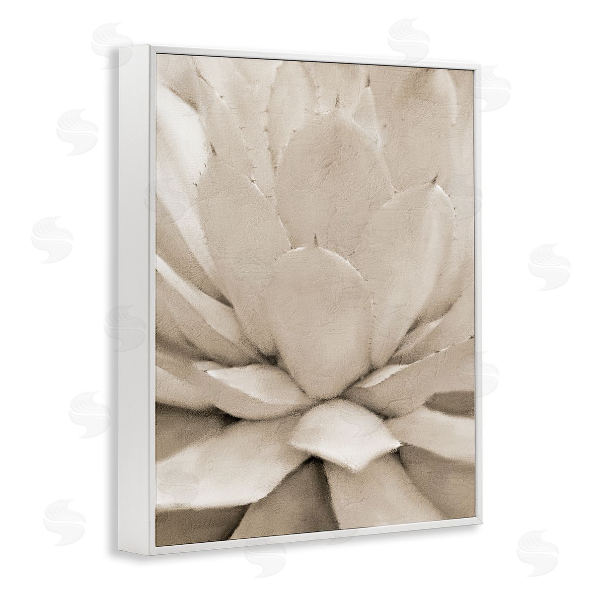 Kim Allen Prickly Agave Plant Monochromatic Beige Desert Succulent