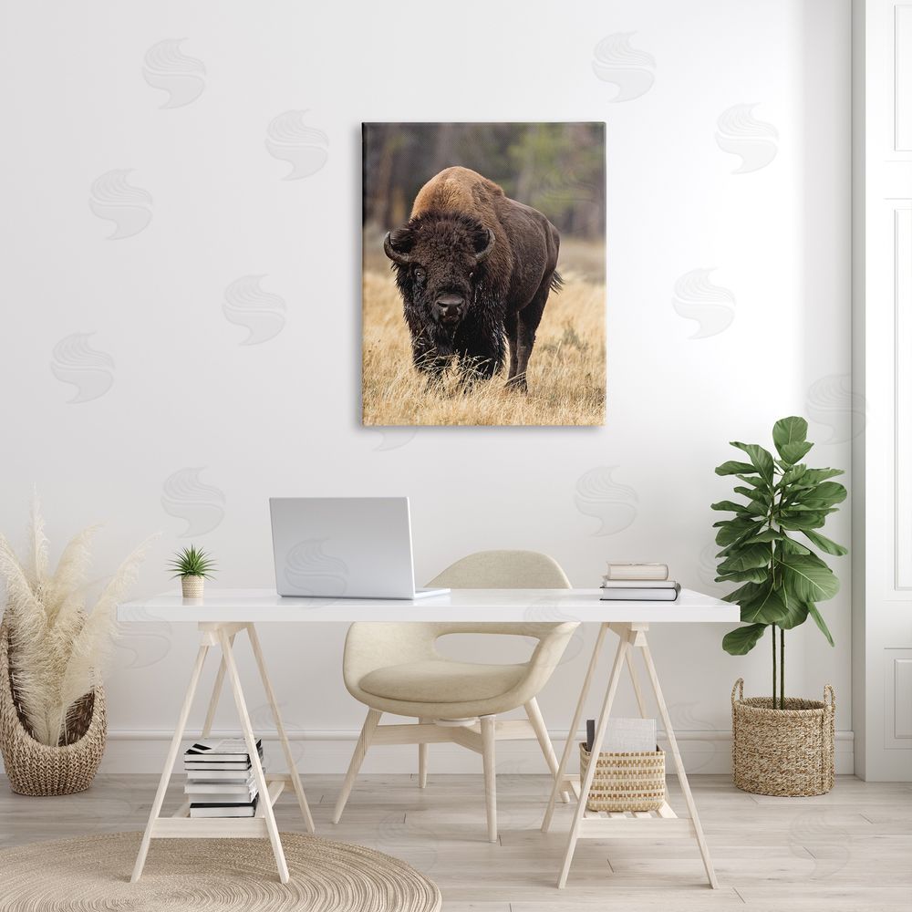 Larry McFerrin Wild American Bison Grazing Rustic Tall Grass