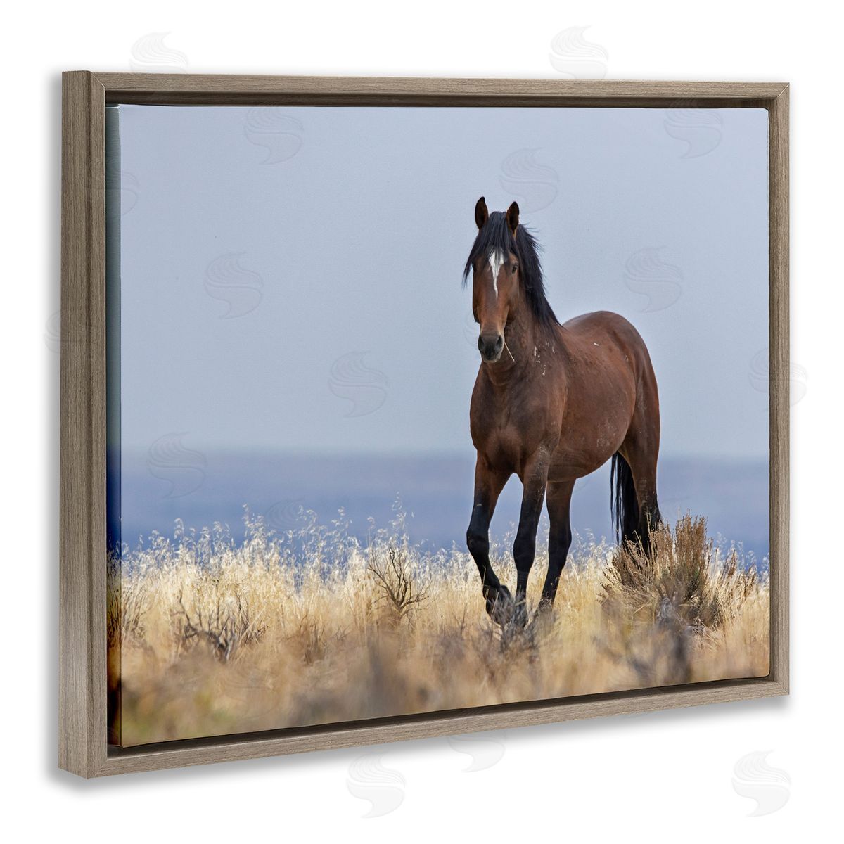Larry McFerrin Equestrian Horse in Wild Countryside Soft Blue Sky