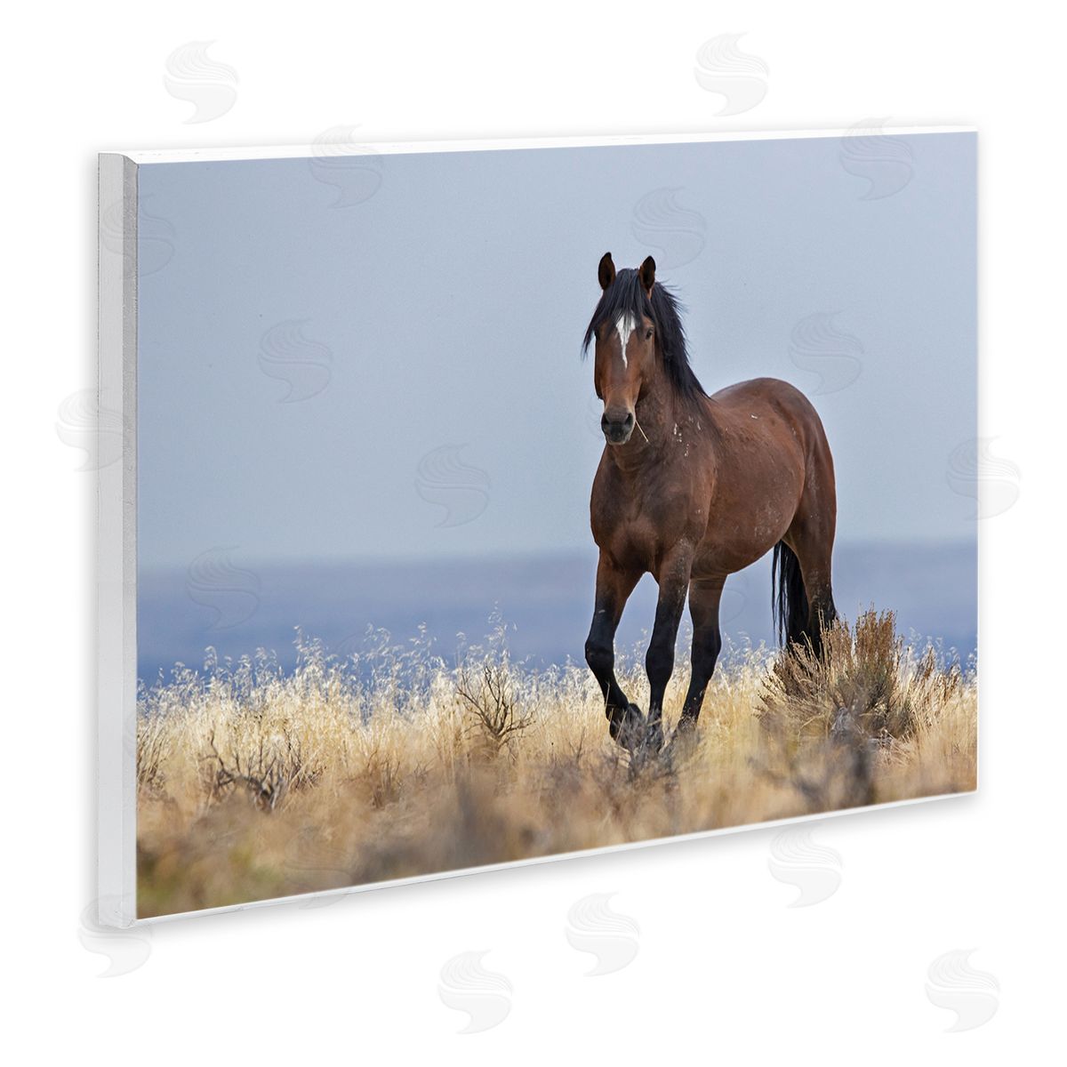 Larry McFerrin Equestrian Horse in Wild Countryside Soft Blue Sky