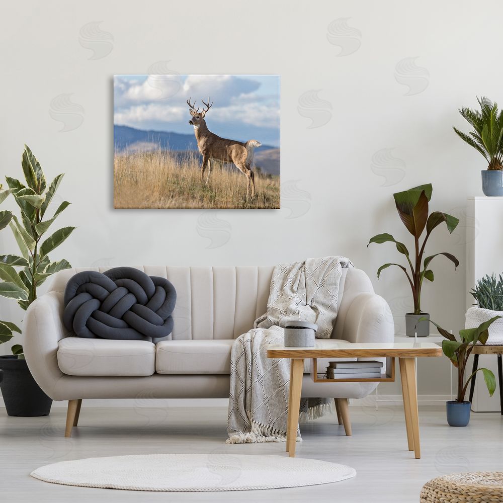 Larry McFerrin White-Tail Buck in Wild Montana Mountains Blue Sky