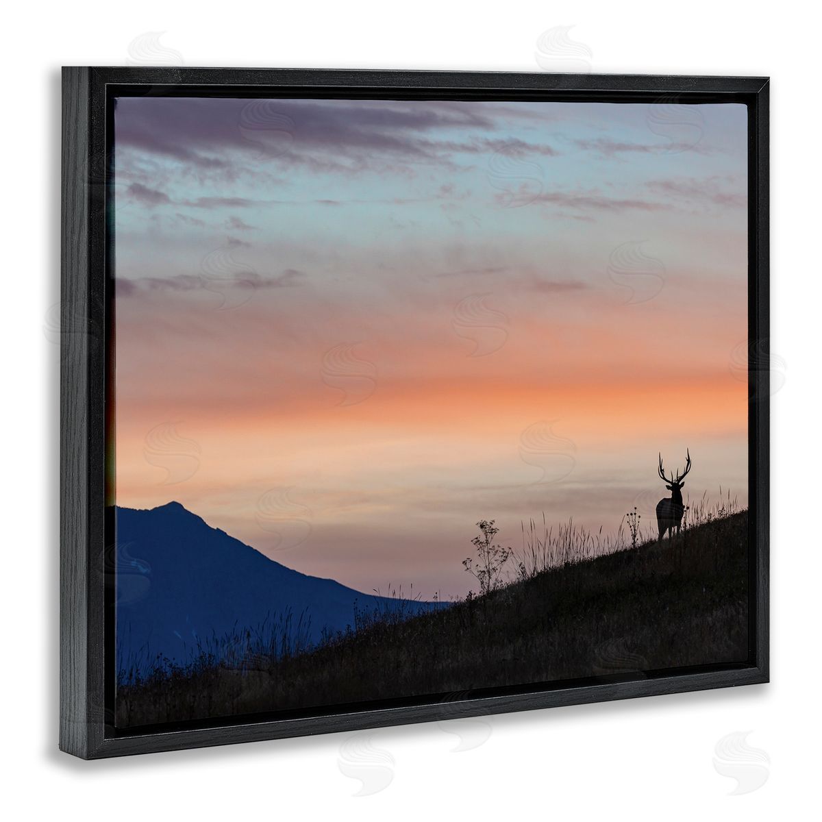 Larry McFerrin Mountain Elk Sunset Silhouette Blush Orange Skyline