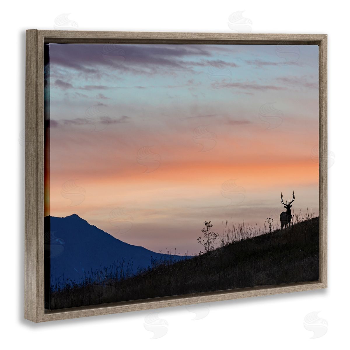 Larry McFerrin Mountain Elk Sunset Silhouette Blush Orange Skyline