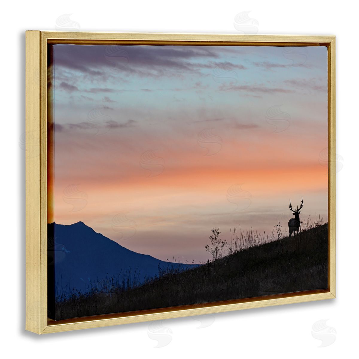 Larry McFerrin Mountain Elk Sunset Silhouette Blush Orange Skyline