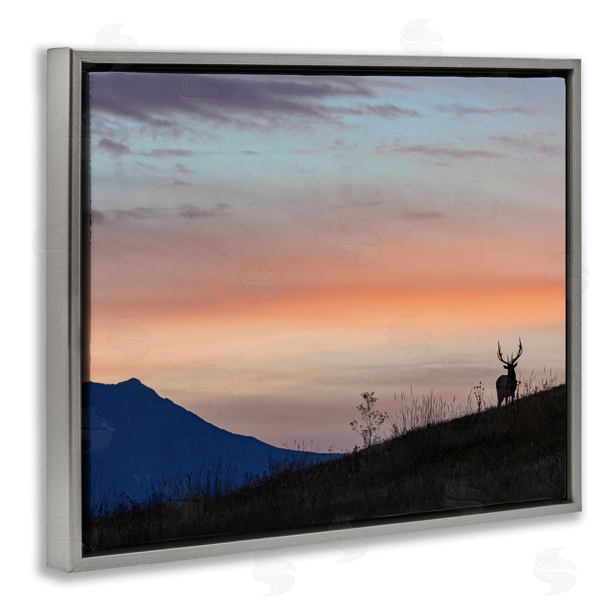 Larry McFerrin Mountain Elk Sunset Silhouette Blush Orange Skyline