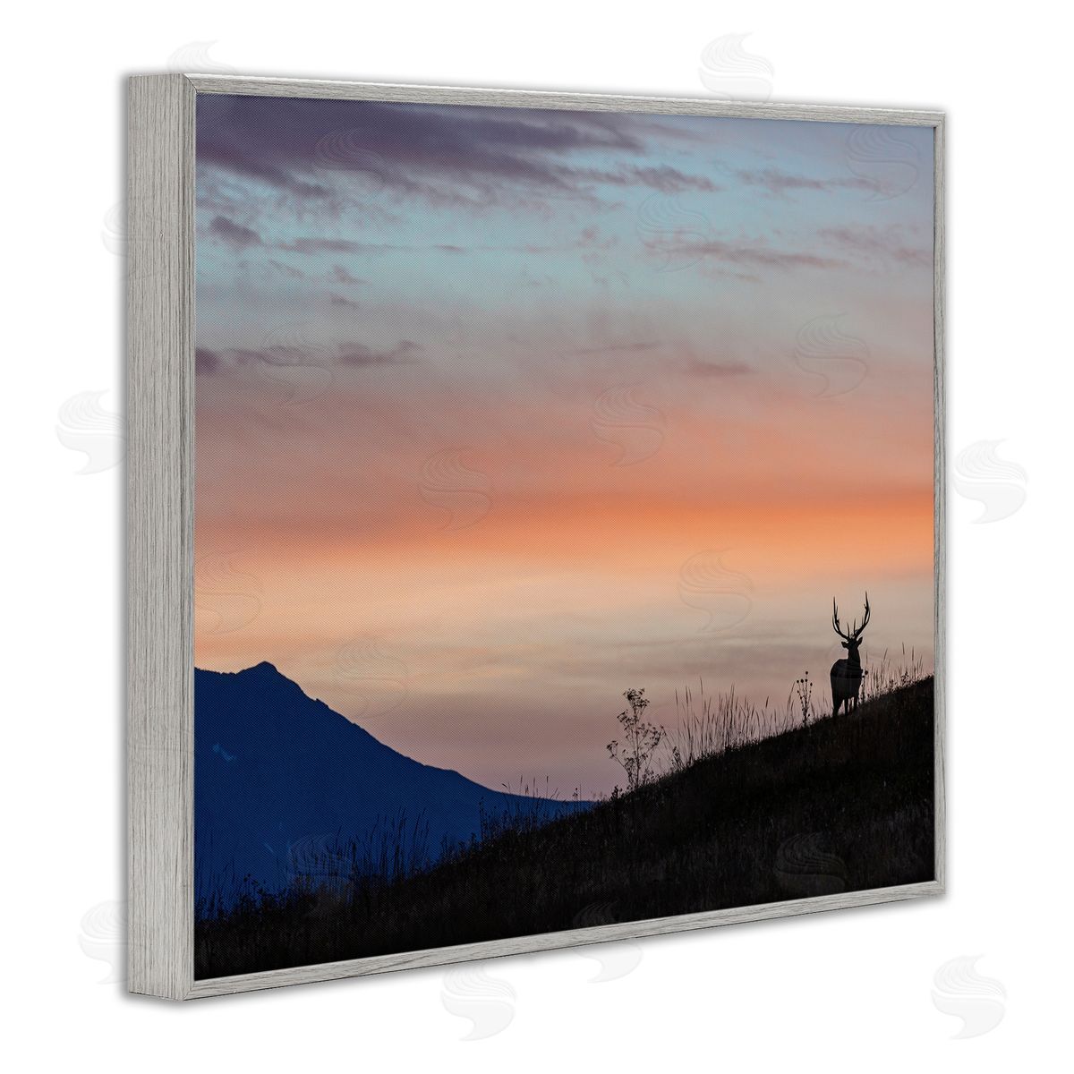 Larry McFerrin Mountain Elk Sunset Silhouette Blush Orange Skyline