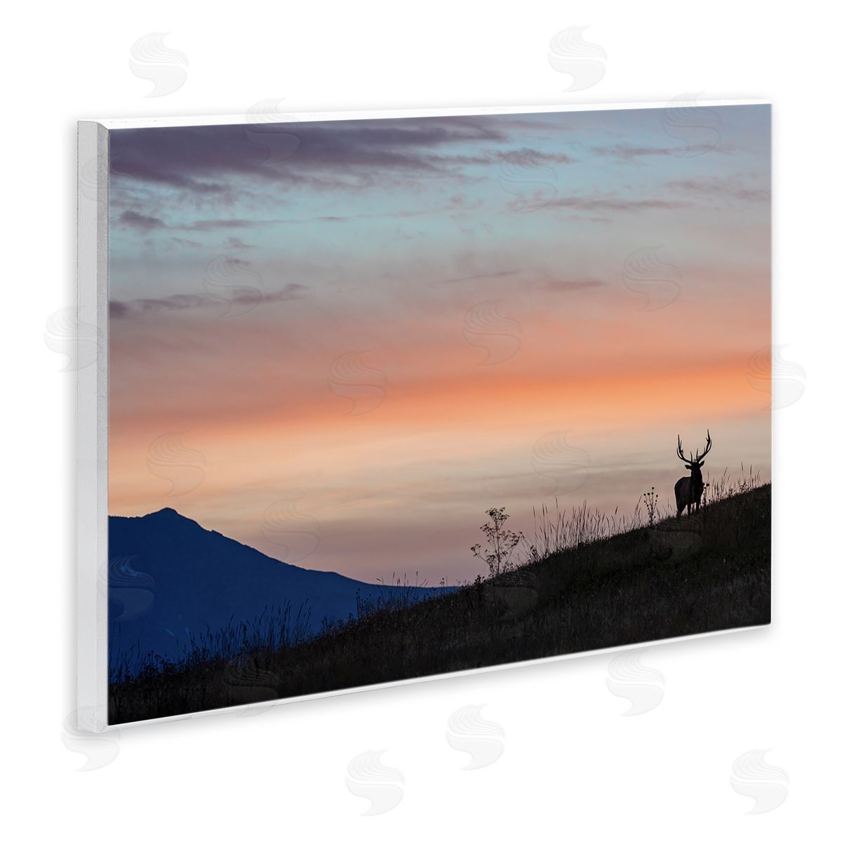 Larry McFerrin Mountain Elk Sunset Silhouette Blush Orange Skyline
