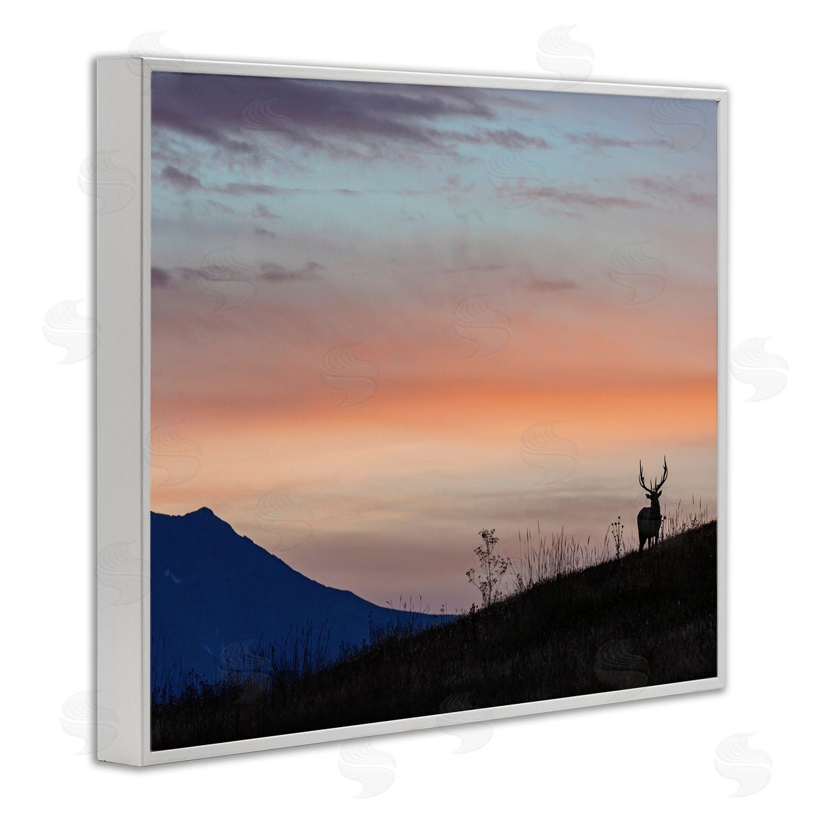 Larry McFerrin Mountain Elk Sunset Silhouette Blush Orange Skyline