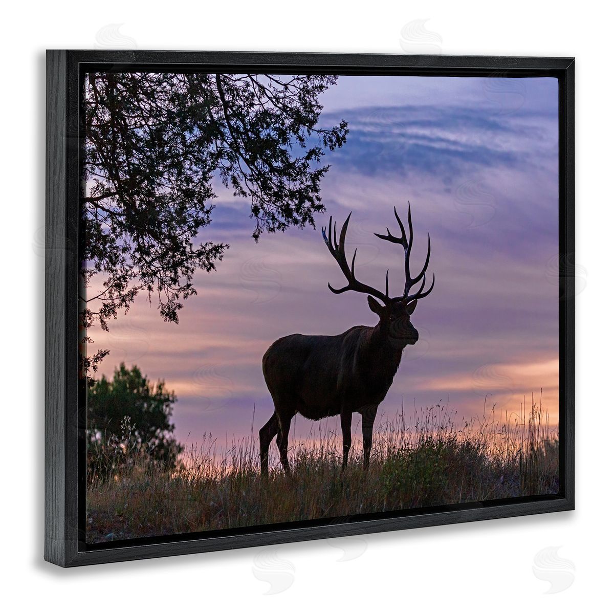 Larry McFerrin Wild Elk Sunrise Forest Animal Antlers Morning Sky