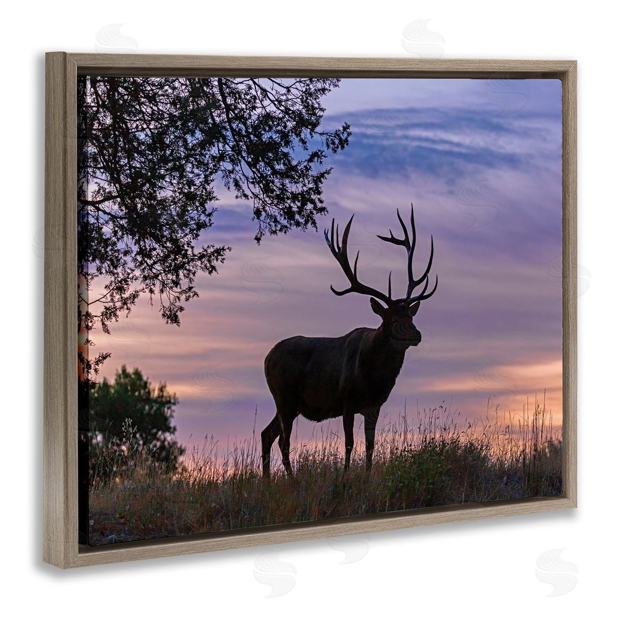 Larry McFerrin Wild Elk Sunrise Forest Animal Antlers Morning Sky