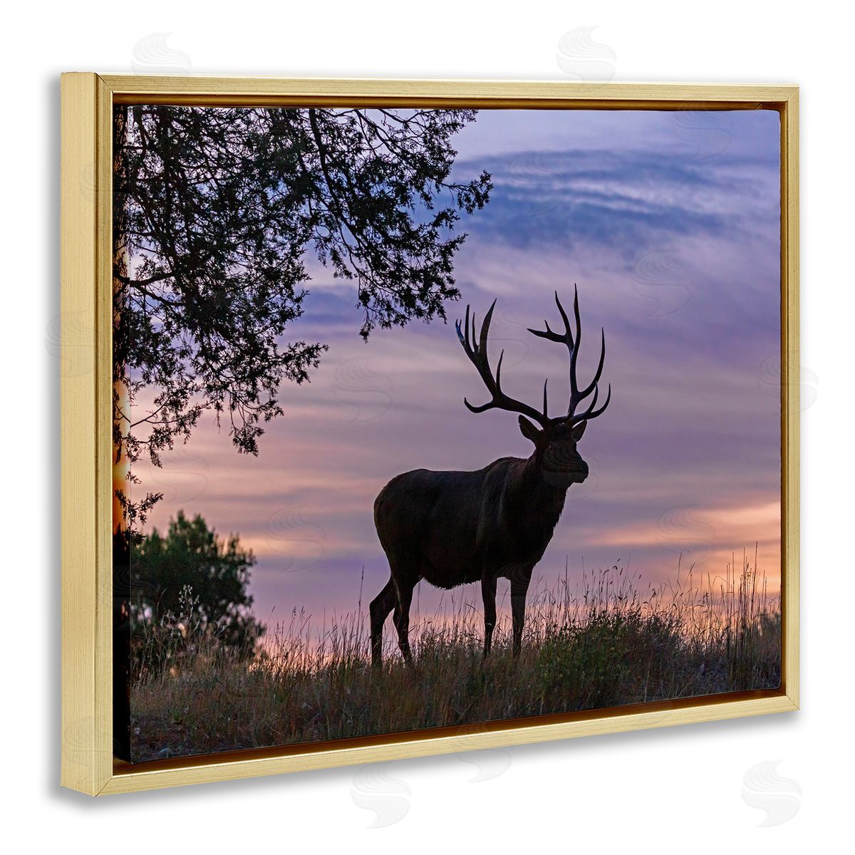 Larry McFerrin Wild Elk Sunrise Forest Animal Antlers Morning Sky