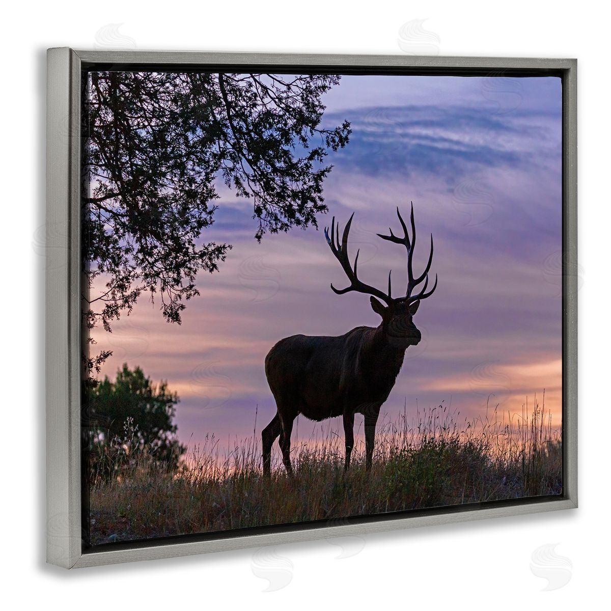 Larry McFerrin Wild Elk Sunrise Forest Animal Antlers Morning Sky