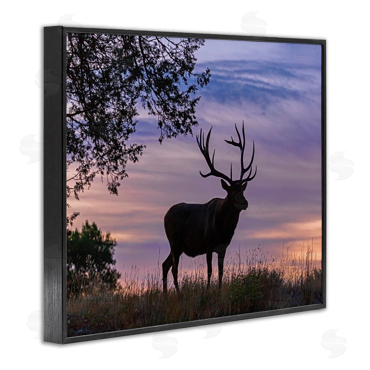 Larry McFerrin Wild Elk Sunrise Forest Animal Antlers Morning Sky
