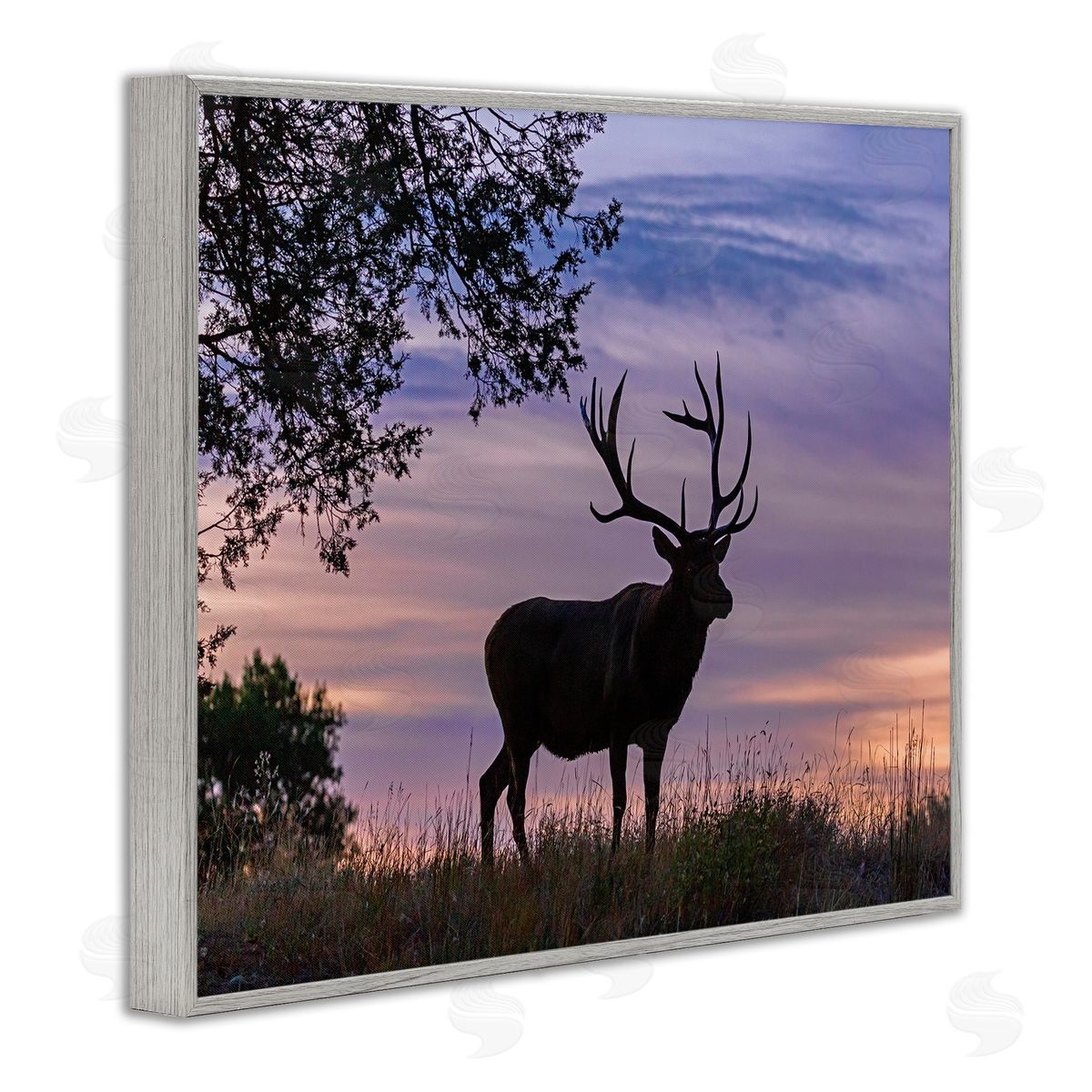 Larry McFerrin Wild Elk Sunrise Forest Animal Antlers Morning Sky