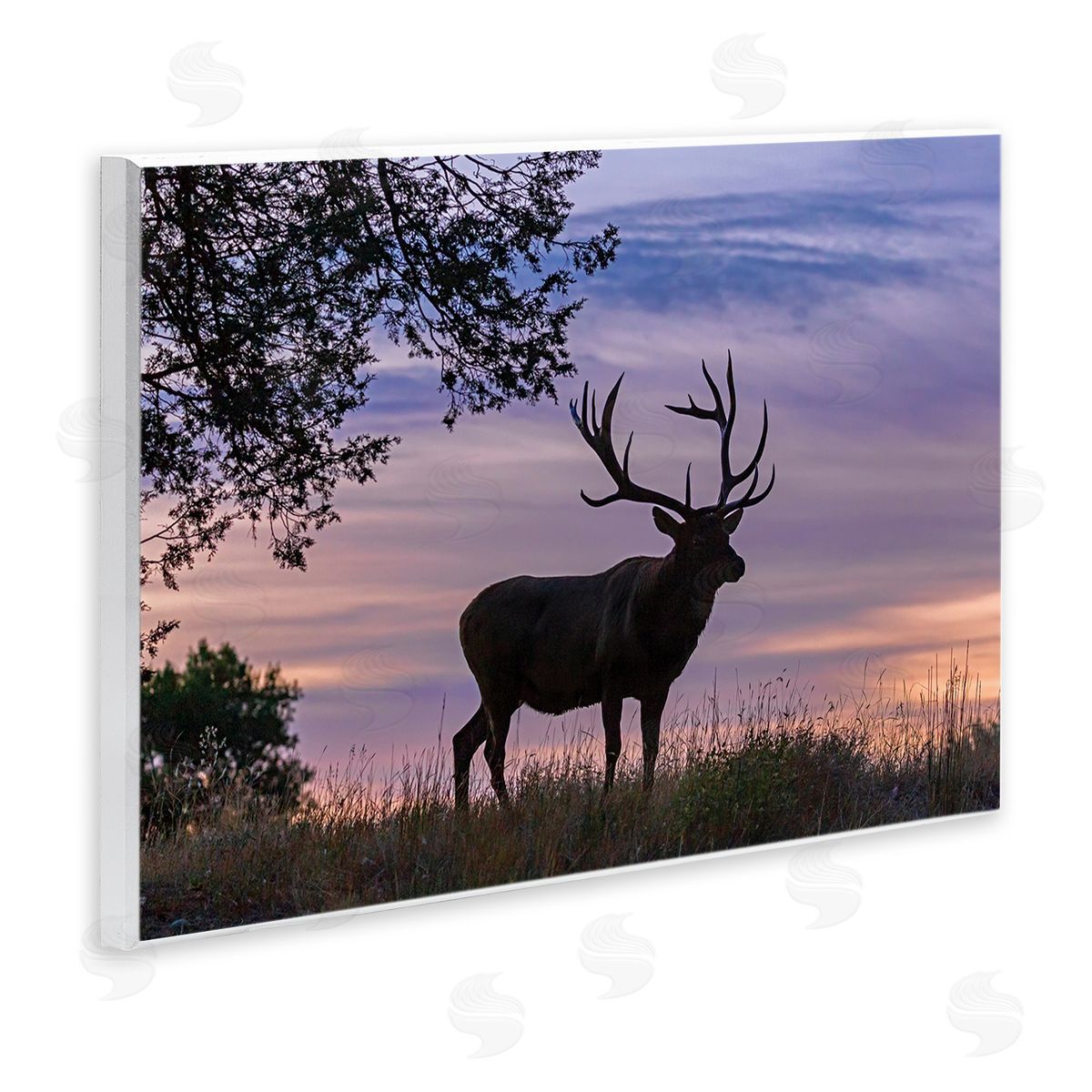 Larry McFerrin Wild Elk Sunrise Forest Animal Antlers Morning Sky