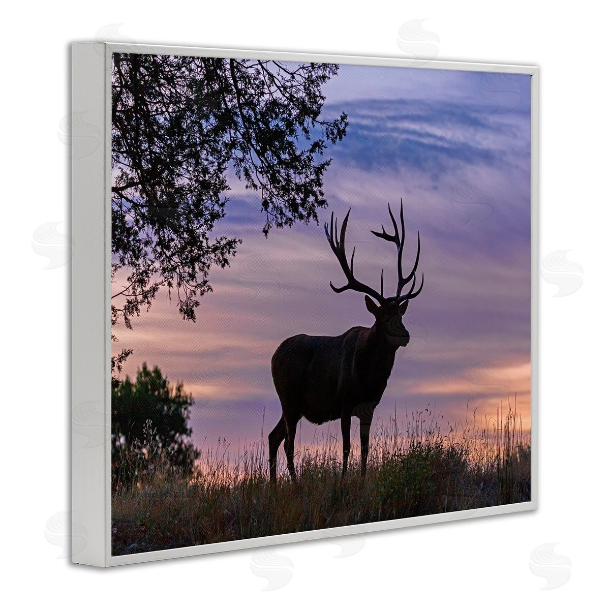 Larry McFerrin Wild Elk Sunrise Forest Animal Antlers Morning Sky
