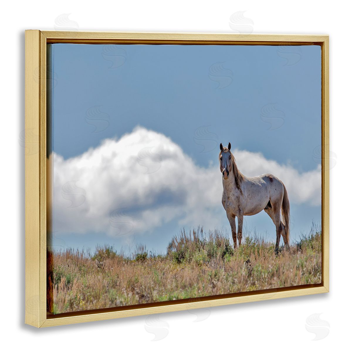Larry McFerrin Wild Horse Standing Strong Along Daytime Cloudy Sky