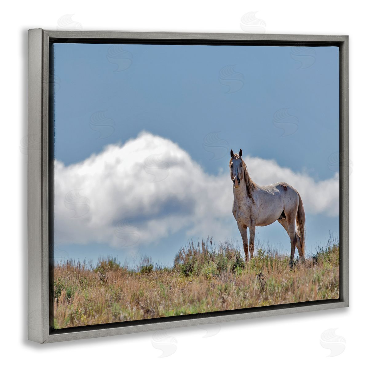 Larry McFerrin Wild Horse Standing Strong Along Daytime Cloudy Sky