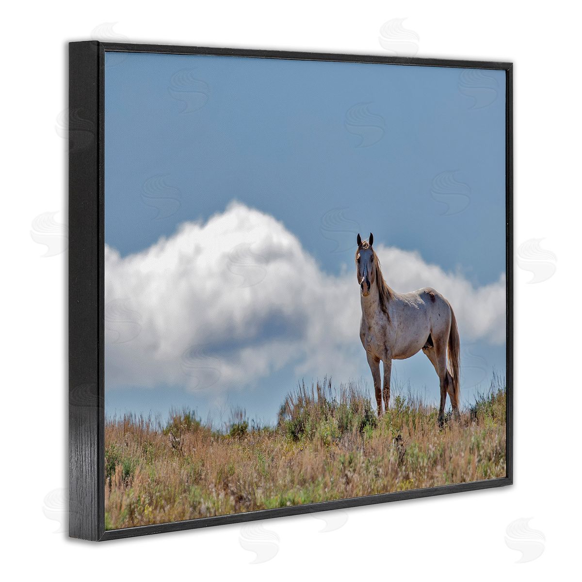 Larry McFerrin Wild Horse Standing Strong Along Daytime Cloudy Sky
