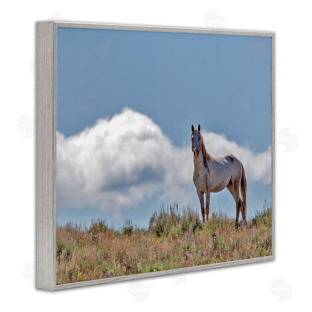 Larry McFerrin Wild Horse Standing Strong Along Daytime Cloudy Sky