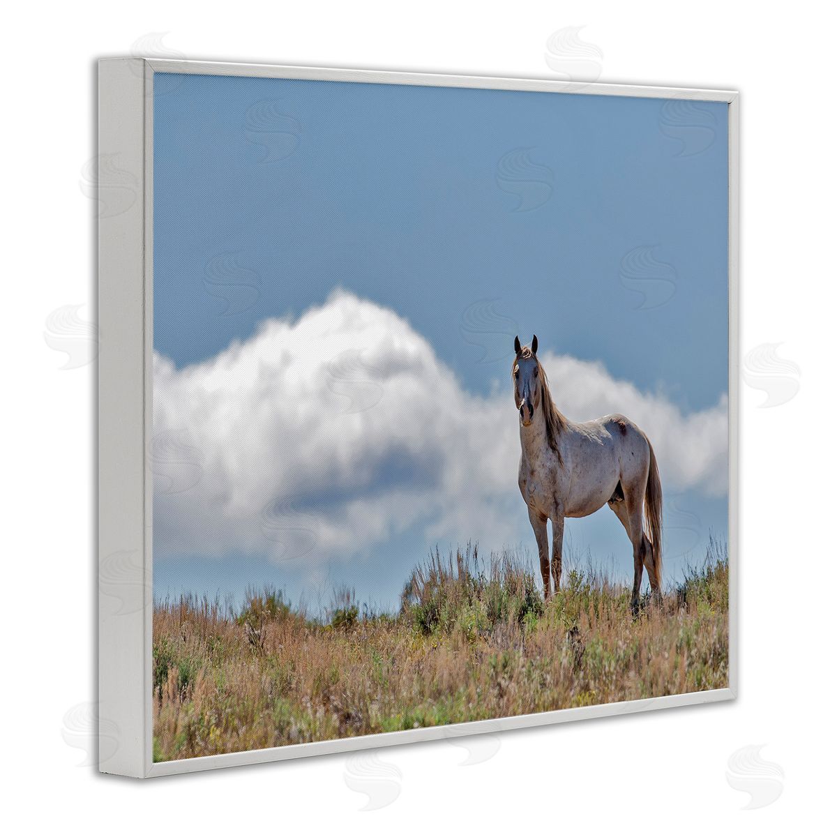Larry McFerrin Wild Horse Standing Strong Along Daytime Cloudy Sky