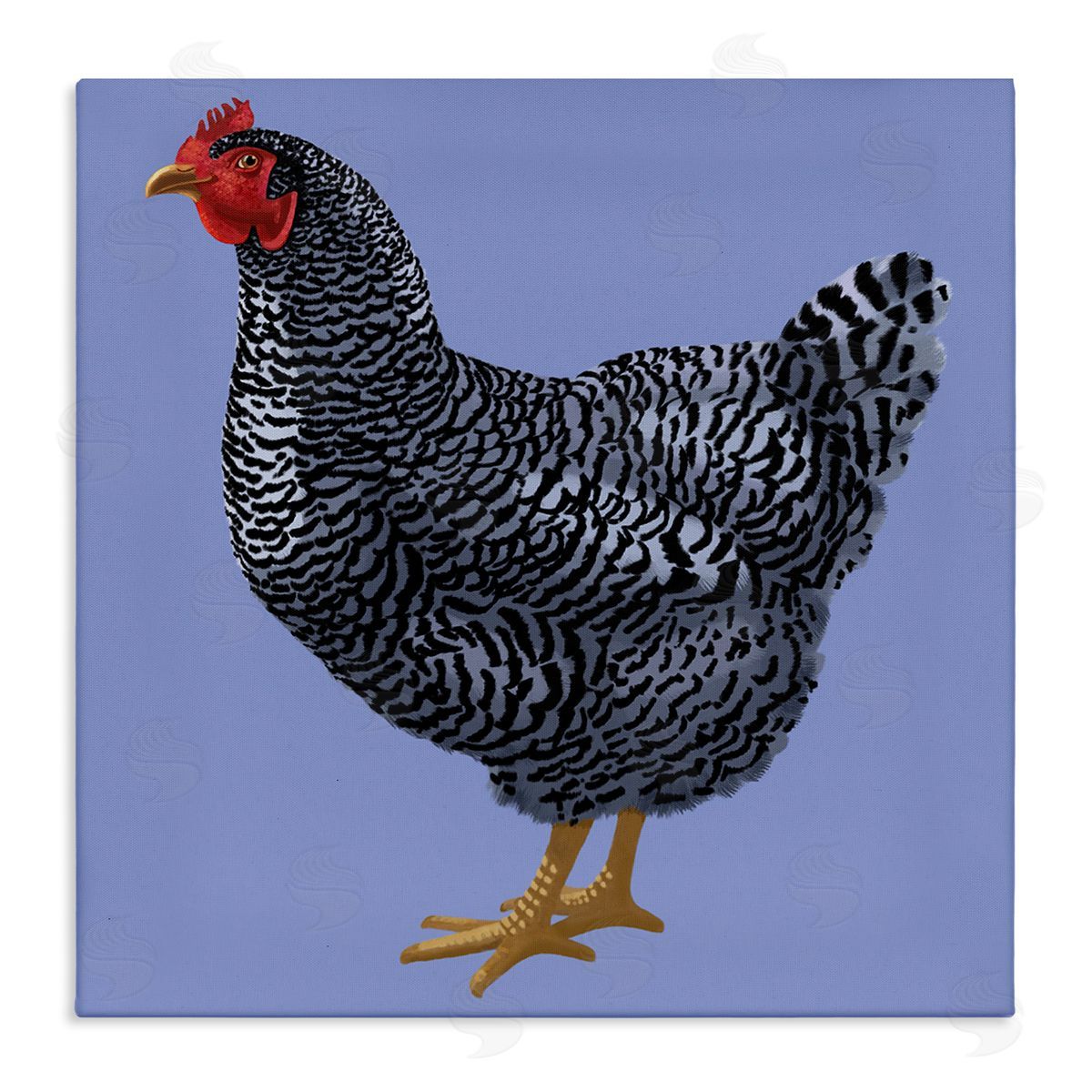 Sally Springer Griffith Striped Farm Chicken Over Purple Smiling Bird Stretched Canvas Wall Art Print