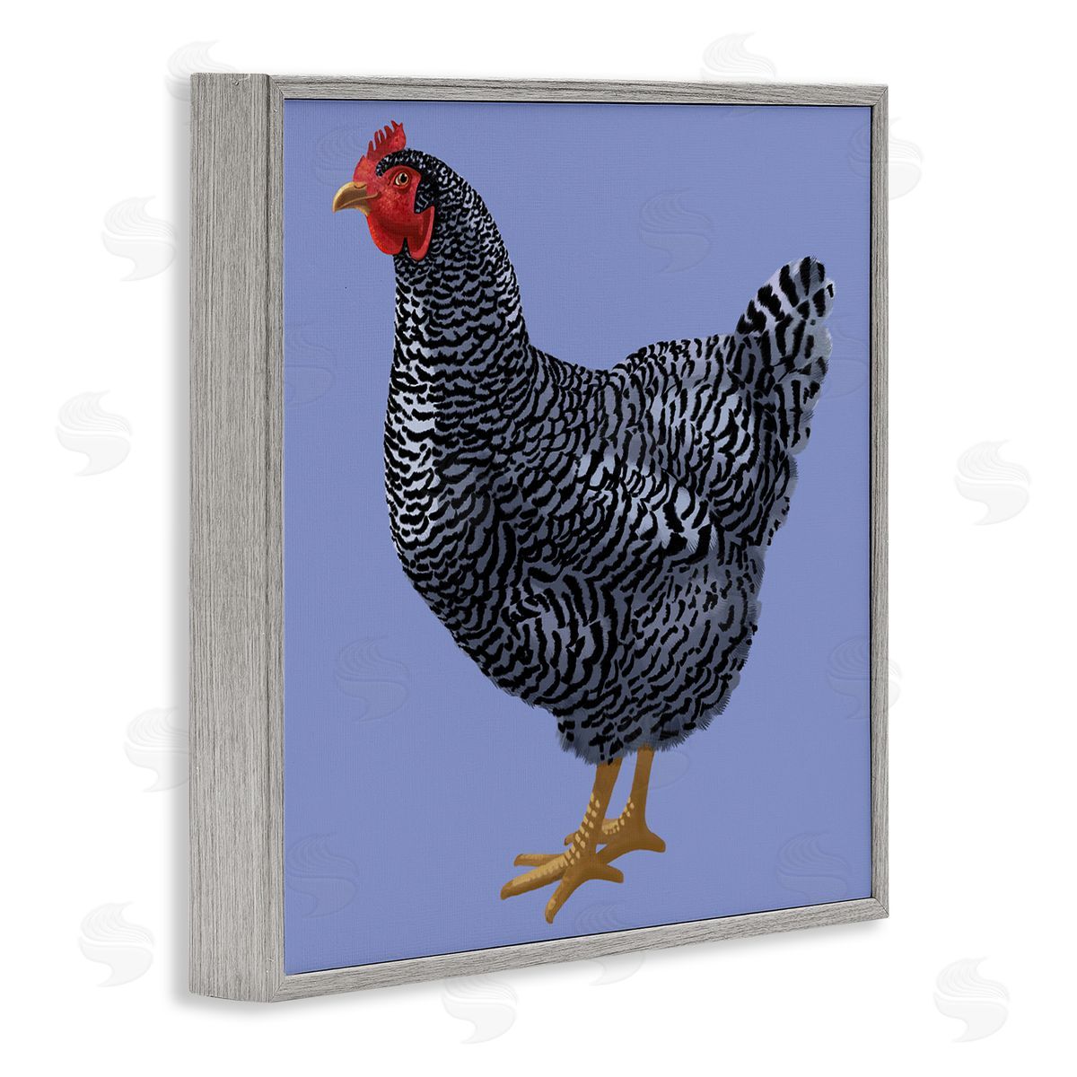 Sally Springer Griffith Striped Farm Chicken Over Purple Smiling Bird Gray Framed Glicee Wall Art Print
