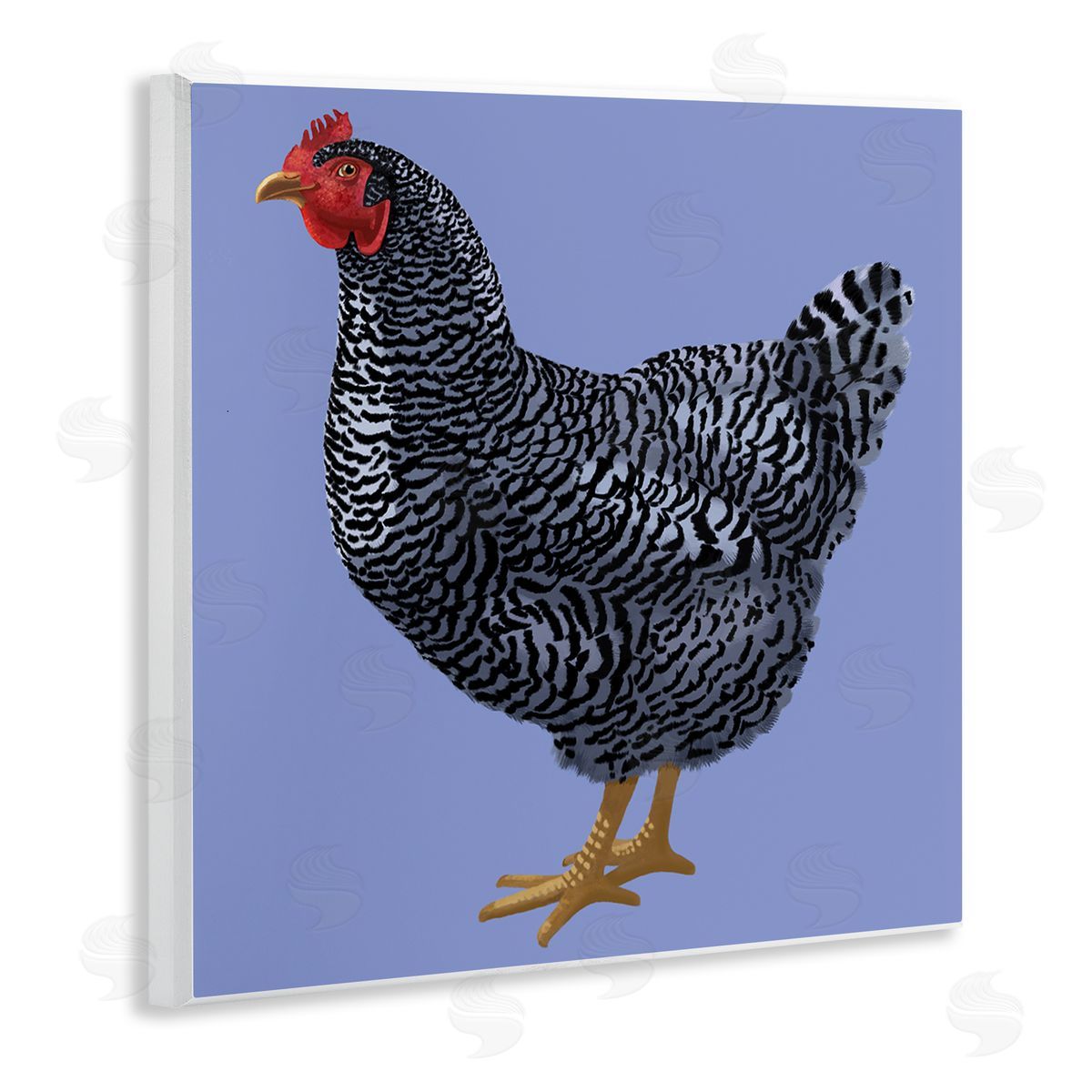 Sally Springer Griffith Striped Farm Chicken Over Purple Smiling Bird Wooden Wall Plaque Art Print