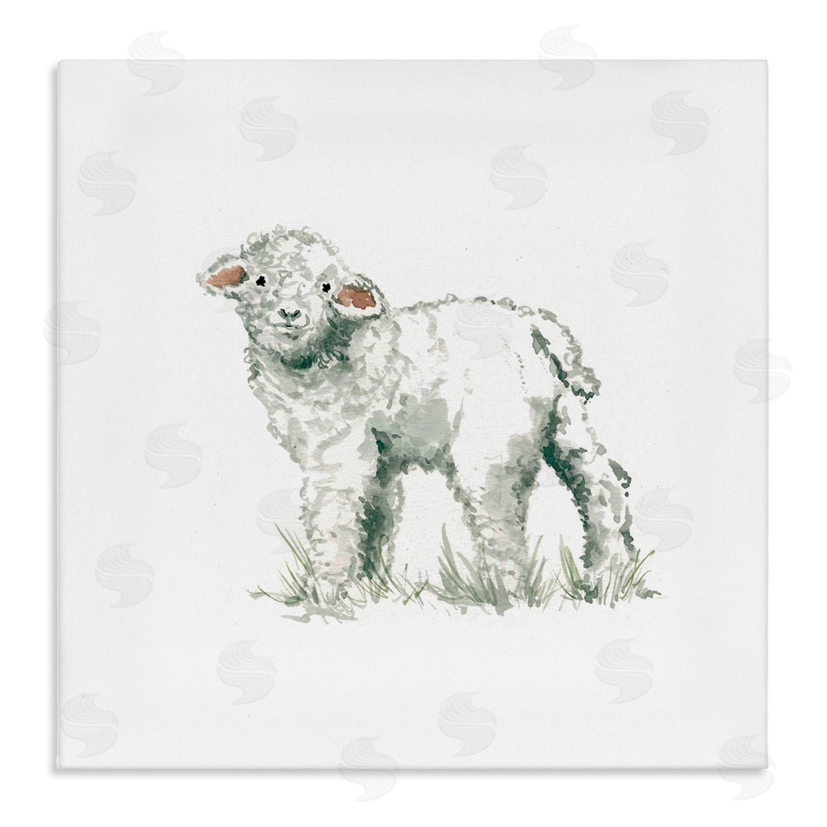 Carol Robinson Fluffy Baby Sheep Minimal Farm Animal over White Stretched Canvas Wall Art Print