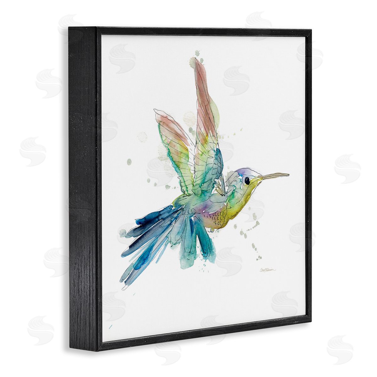 Carol Robinson Contemporary Hummingbird Animal Minimal Rainbow Watercolor Black Framed Glicee Wall Art Print