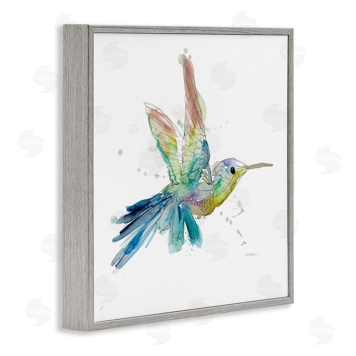Carol Robinson Contemporary Hummingbird Animal Minimal Rainbow Watercolor Gray Framed Glicee Wall Art Print