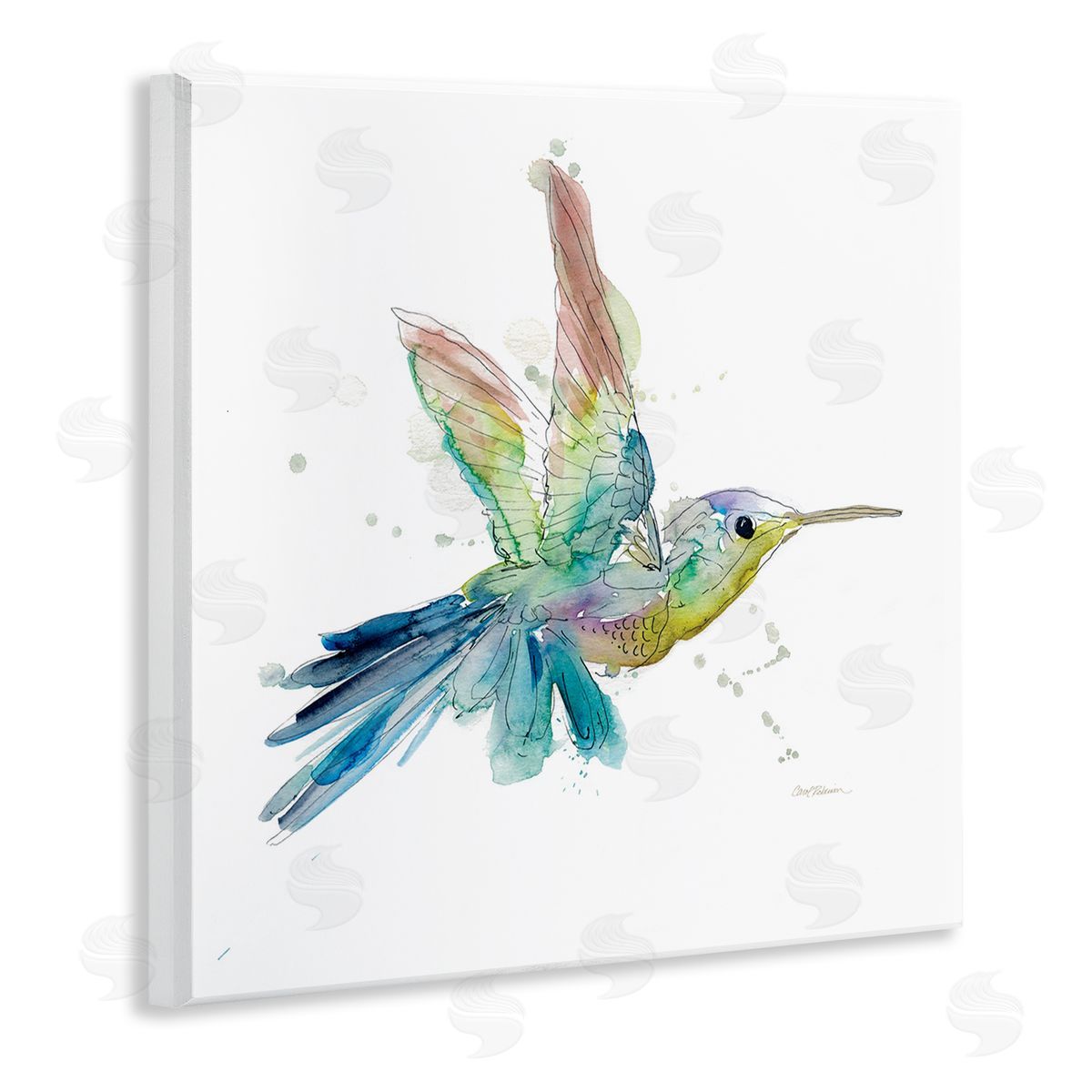 Carol Robinson Contemporary Hummingbird Animal Minimal Rainbow Watercolor Wooden Wall Plaque Art Print