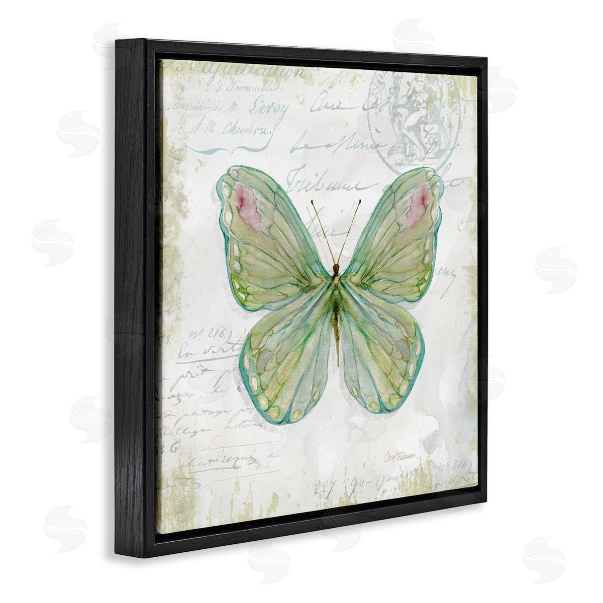 Carol Robinson Antique Butterfly Insect Charming Vintage Postal Scripture Black Floating Frame Canvas Wall Art Print