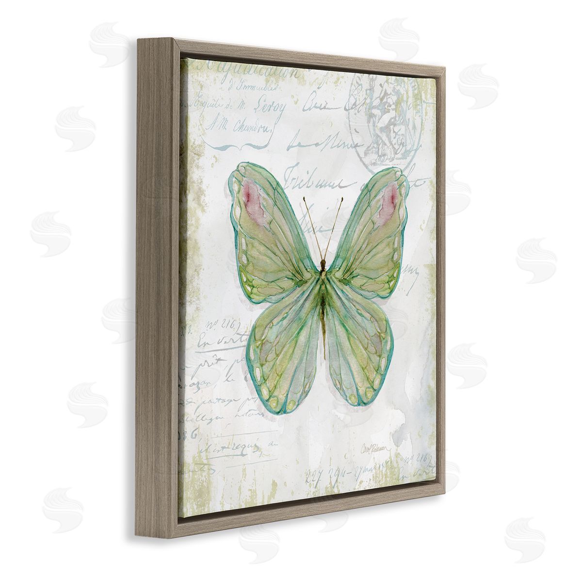 Carol Robinson Antique Butterfly Insect Charming Vintage Postal Scripture Brown Floating Frame Canvas Wall Art Print