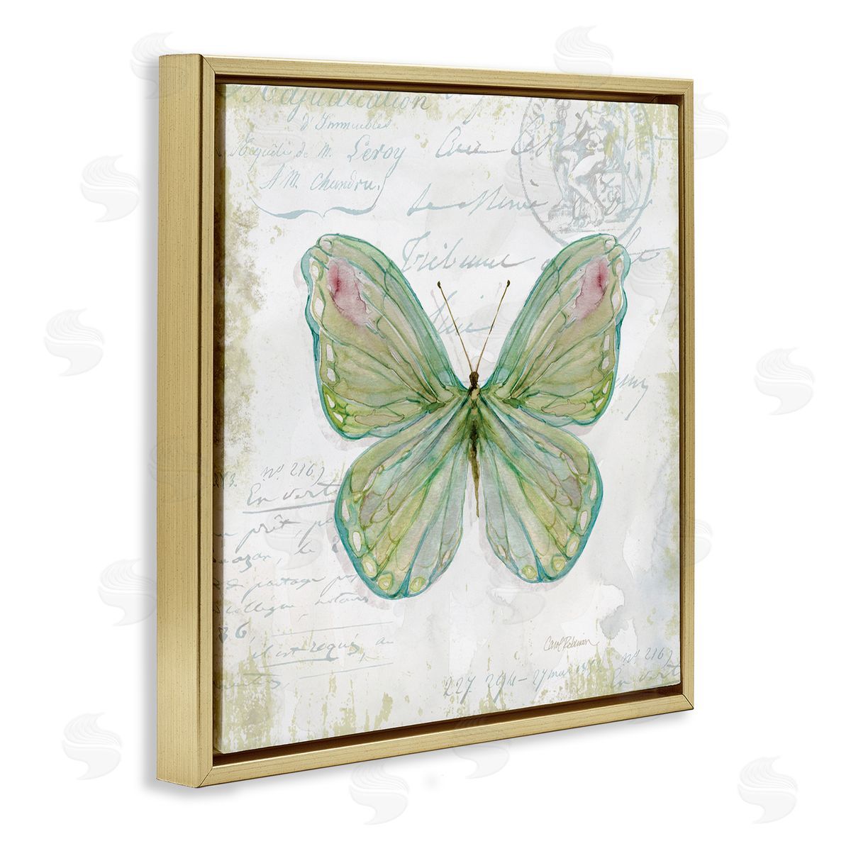 Carol Robinson Antique Butterfly Insect Charming Vintage Postal Scripture Gold Floating Frame Canvas Wall Art Print