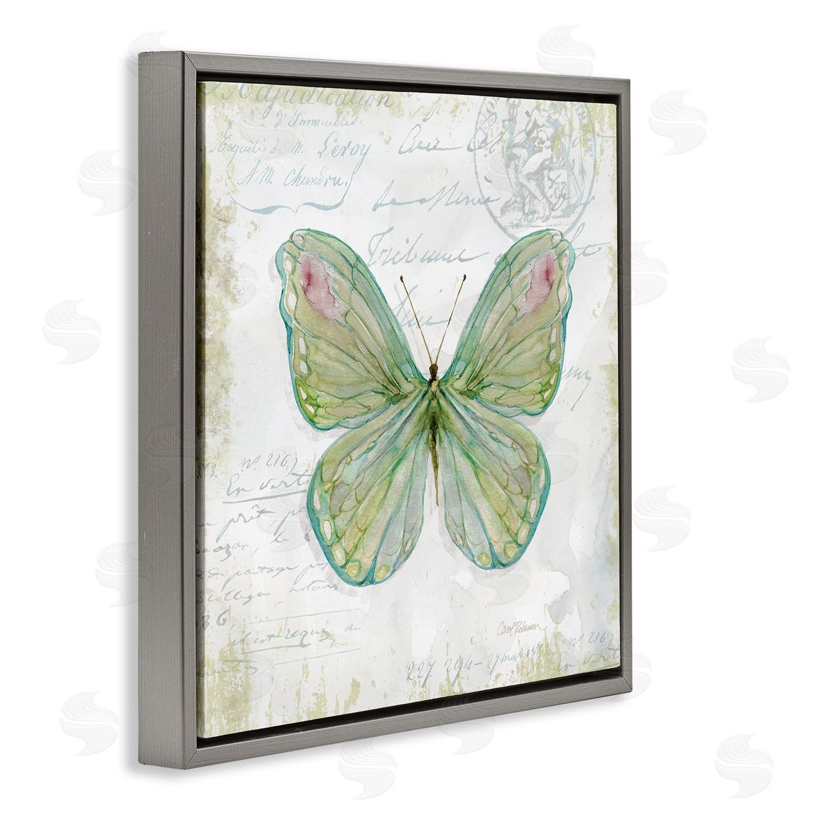 Carol Robinson Antique Butterfly Insect Charming Vintage Postal Scripture Gray Floating Frame Canvas Wall Art Print