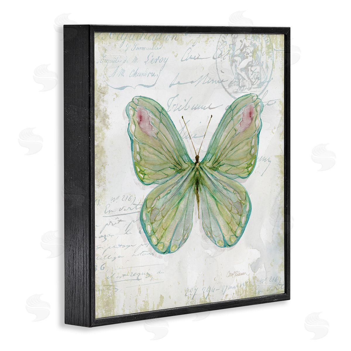 Carol Robinson Antique Butterfly Insect Charming Vintage Postal Scripture Black Framed Glicee Wall Art Print