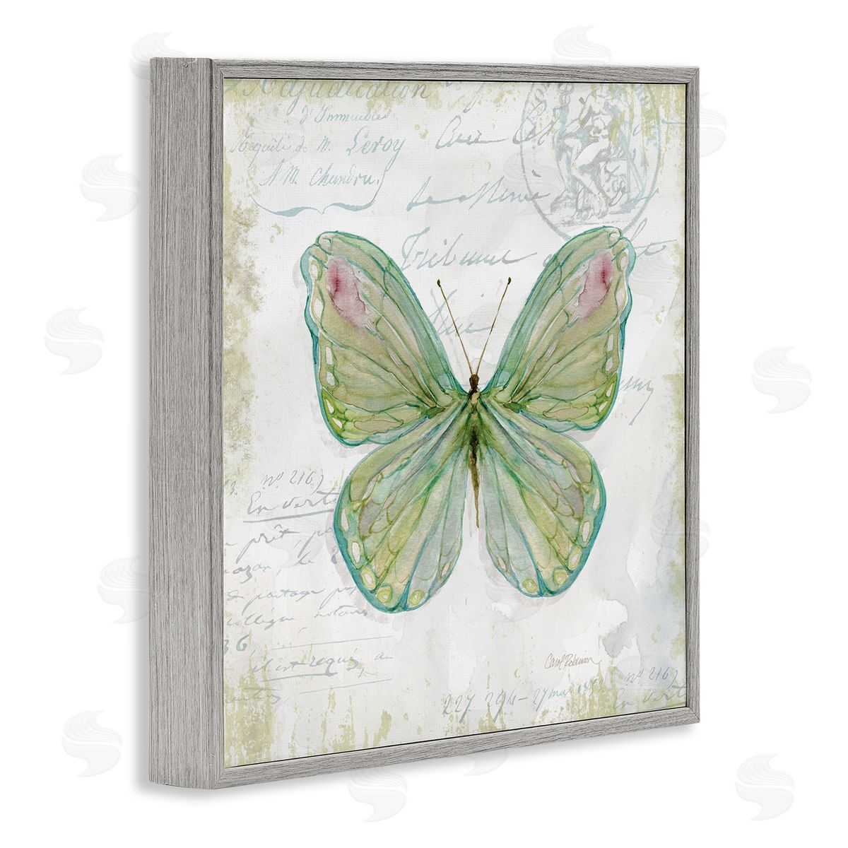 Carol Robinson Antique Butterfly Insect Charming Vintage Postal Scripture Gray Framed Glicee Wall Art Print