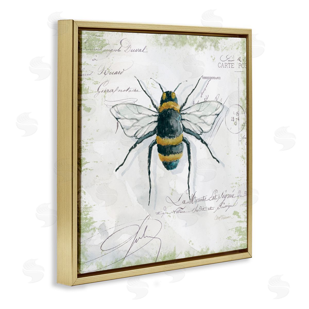 Carol Robinson Quaint Honey Bee Insect over Vintage Postal Card Gold Floating Frame Canvas Wall Art Print