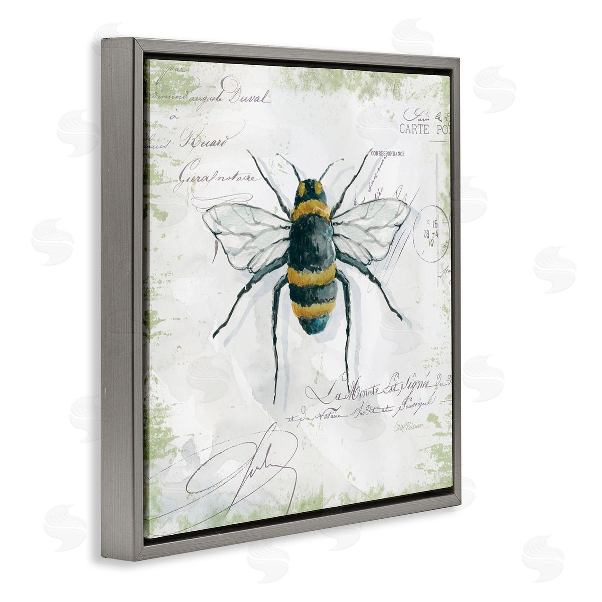 Carol Robinson Quaint Honey Bee Insect over Vintage Postal Card Gray Floating Frame Canvas Wall Art Print