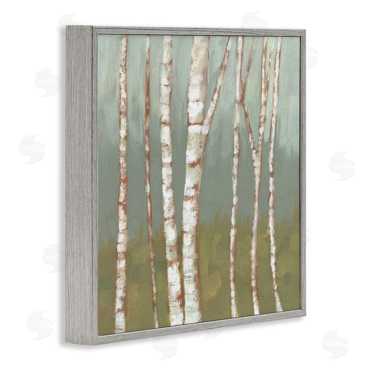 Jennifer Goldberger Contemporary Birch Tree Bark Soft Green Forest Landscape Gray Framed Glicee Wall Art Print