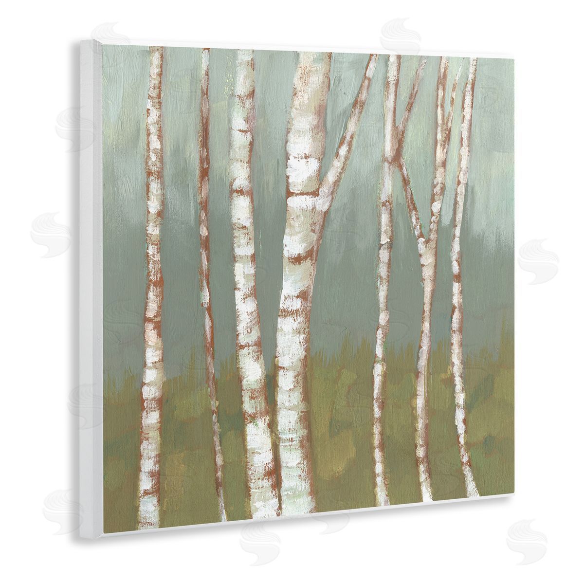 Jennifer Goldberger Contemporary Birch Tree Bark Soft Green Forest Landscape Wooden Wall Plaque Art Print