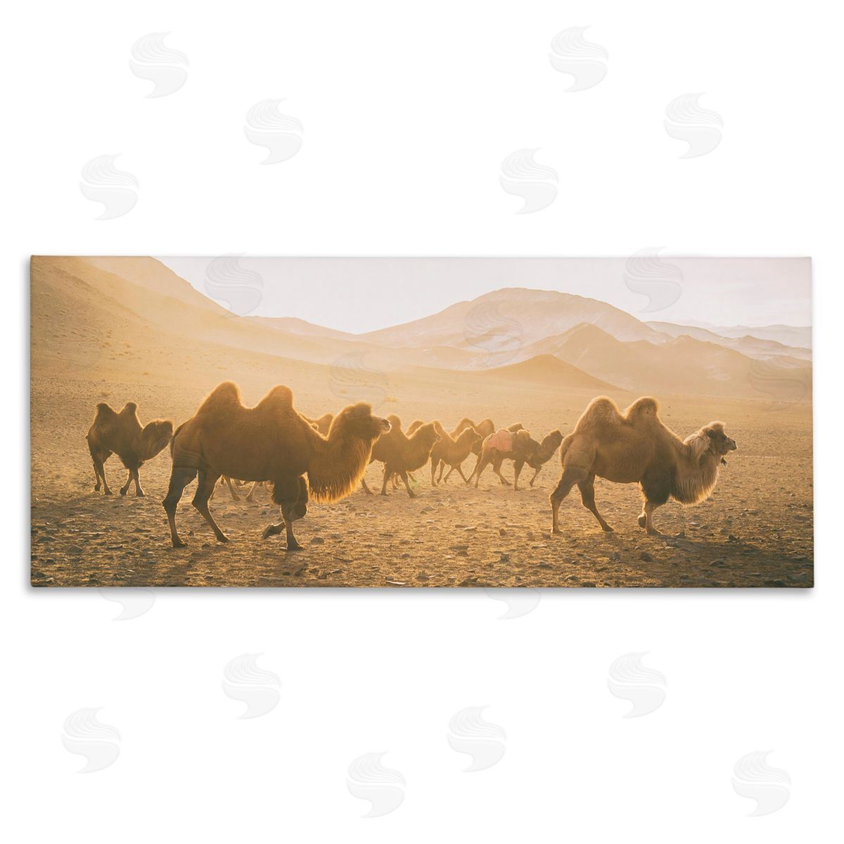 Aledanda Camels Marching Desert Animals Canyon Landscape
